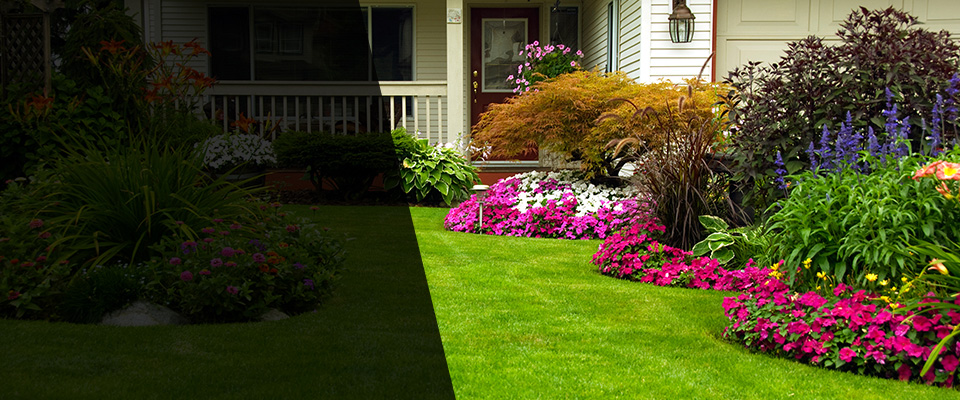 San Clemente Landscapers