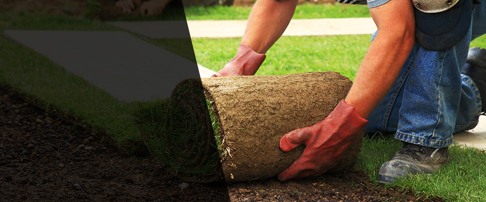 San Clemente Landscapers